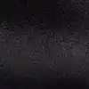 Noir Black Swan