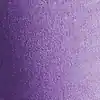 Violet Glycine
